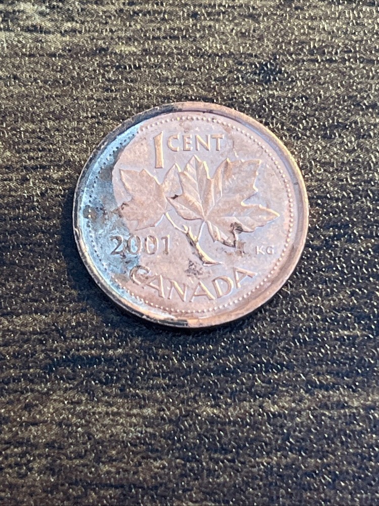 2001 Canada 1 One Cent Actual Coin TK8925*