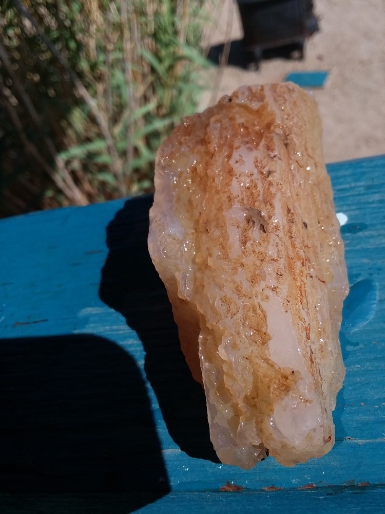 Chalcedony Filling Possible Petrified Would Opalized