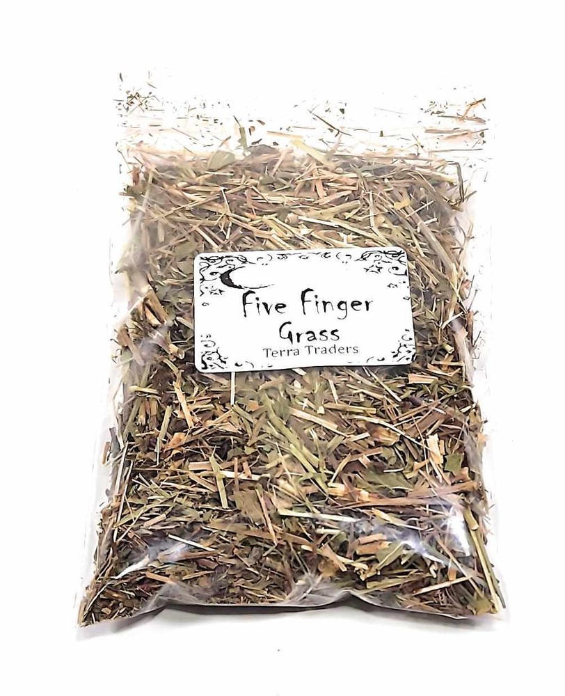 Five Finger Grass Hoodoo