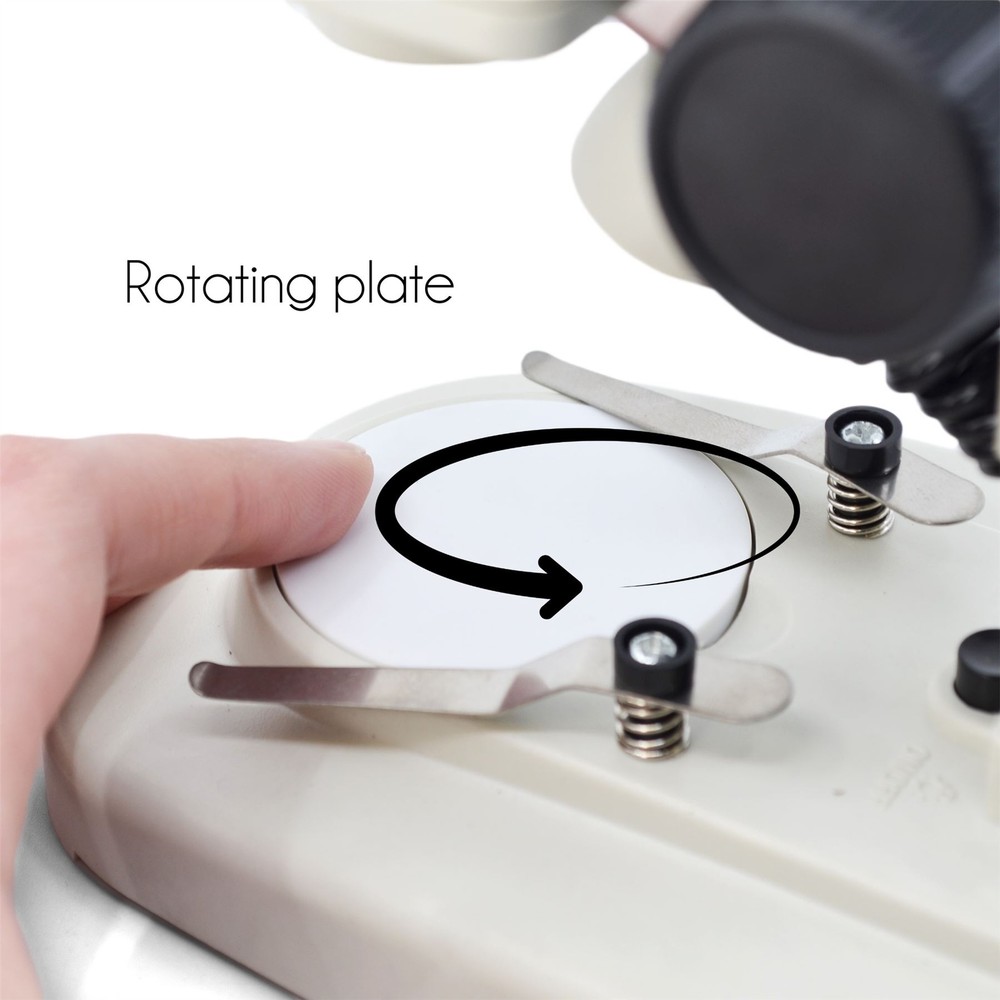 Stereoscopic Microscope, 45 Degree Binocular Head, Adjustable Pillar -Eisco Labs