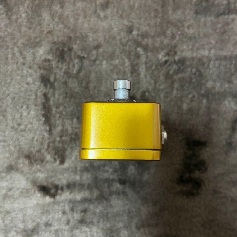 TC ELECTRONIC Ditto Looper Effects Pedal