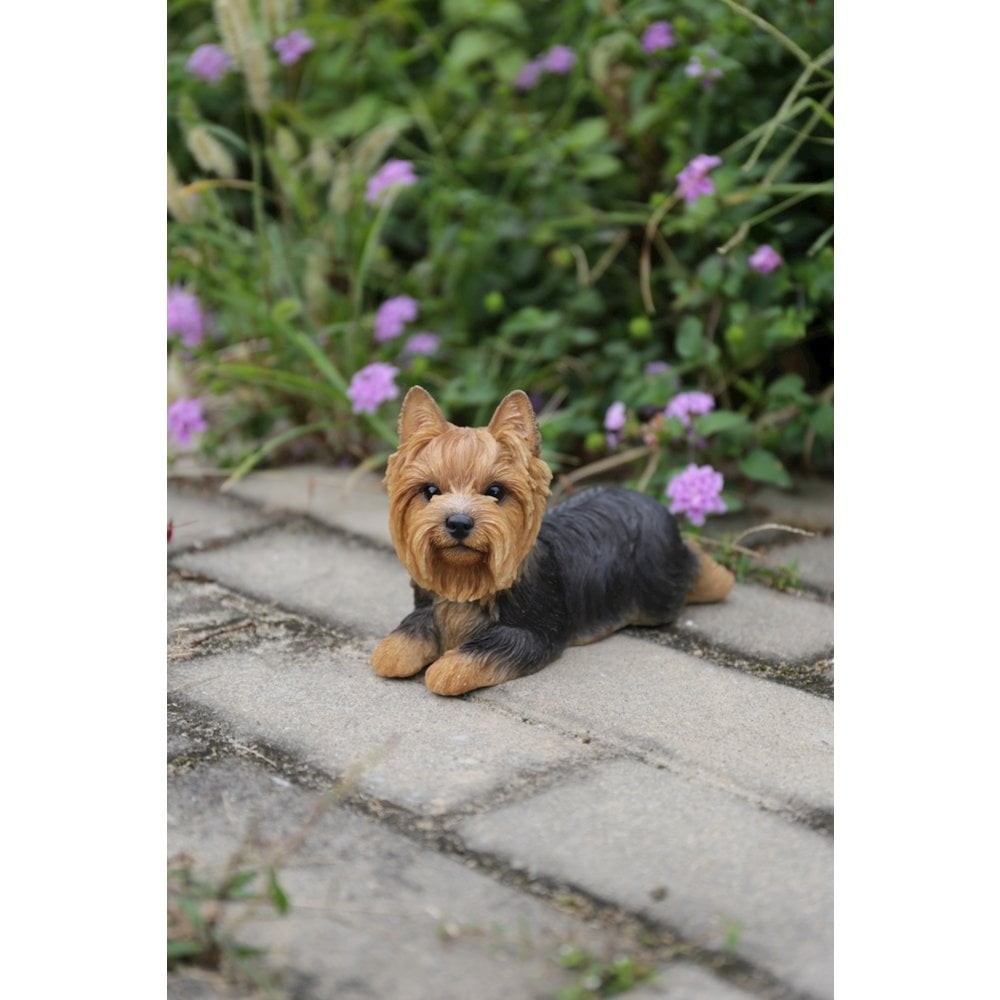 Gift Ltd Yorkshire Terrier Dog Lying Down Statue