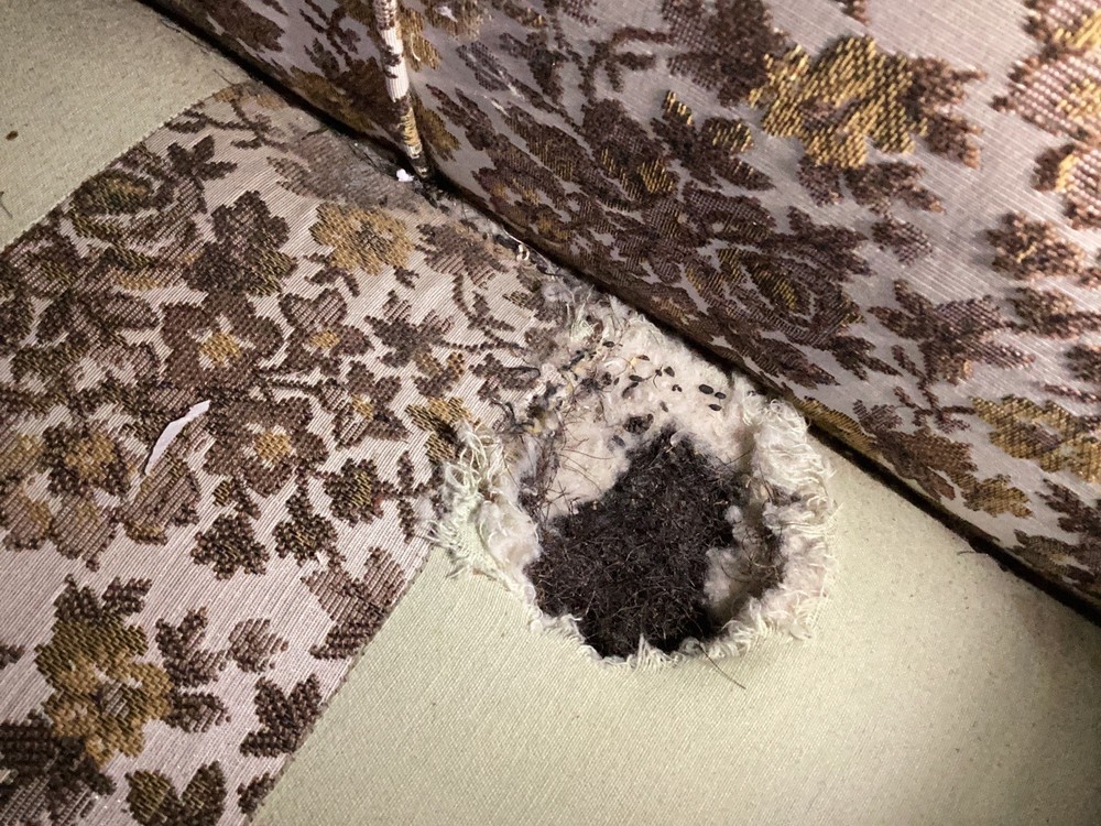 Antique Couch See Pics!!!
