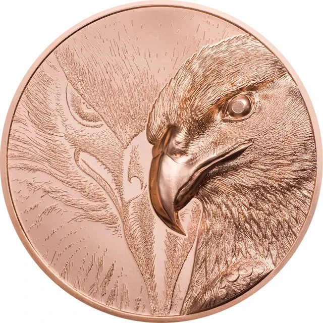 Majestic Eagle , copper coin,  50gr, 2024