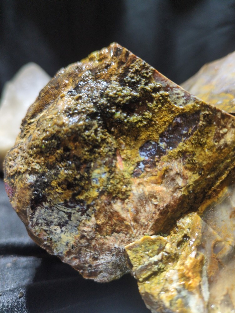 Biggs Jasper Specimen w/ Dendric Natural Form (7lbs 12oz)