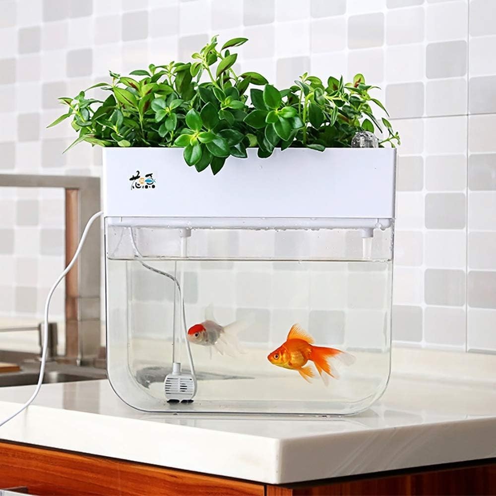 Aquaponic Fish Tank & Seed Sprouter System