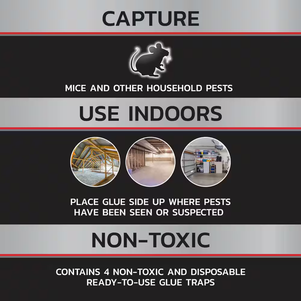 Mouse Glue Traps (4-Count) (2-Pack)