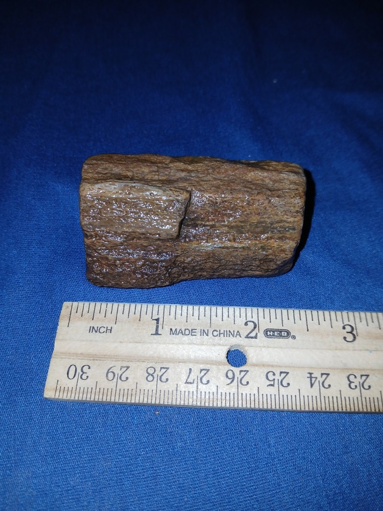 3.6 oz Texas Petrified Wood