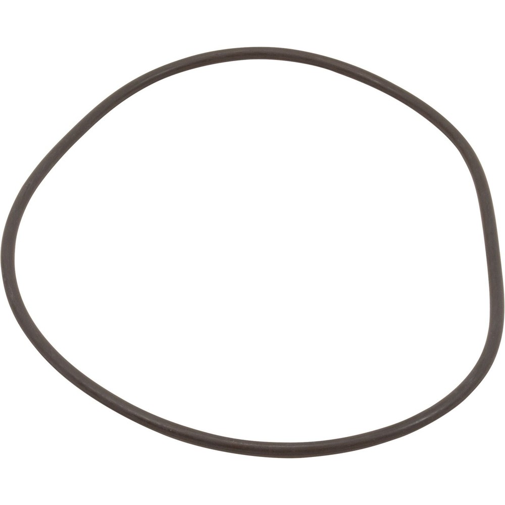 O-Ring, #448 - Pro Clean Filter 35 Shore W/Bag
