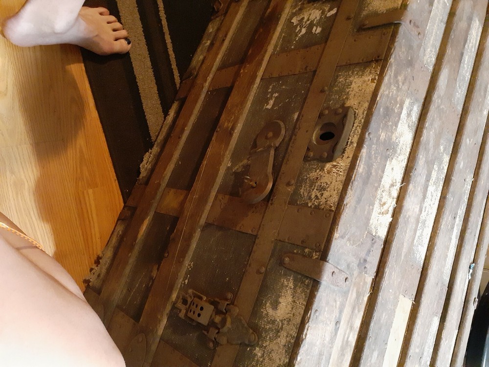 vintage antique steamer trunk