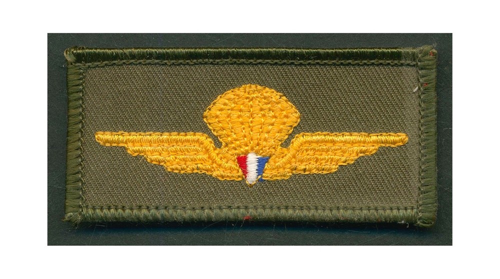 Panama Defense Forces Parachute Wings  L313