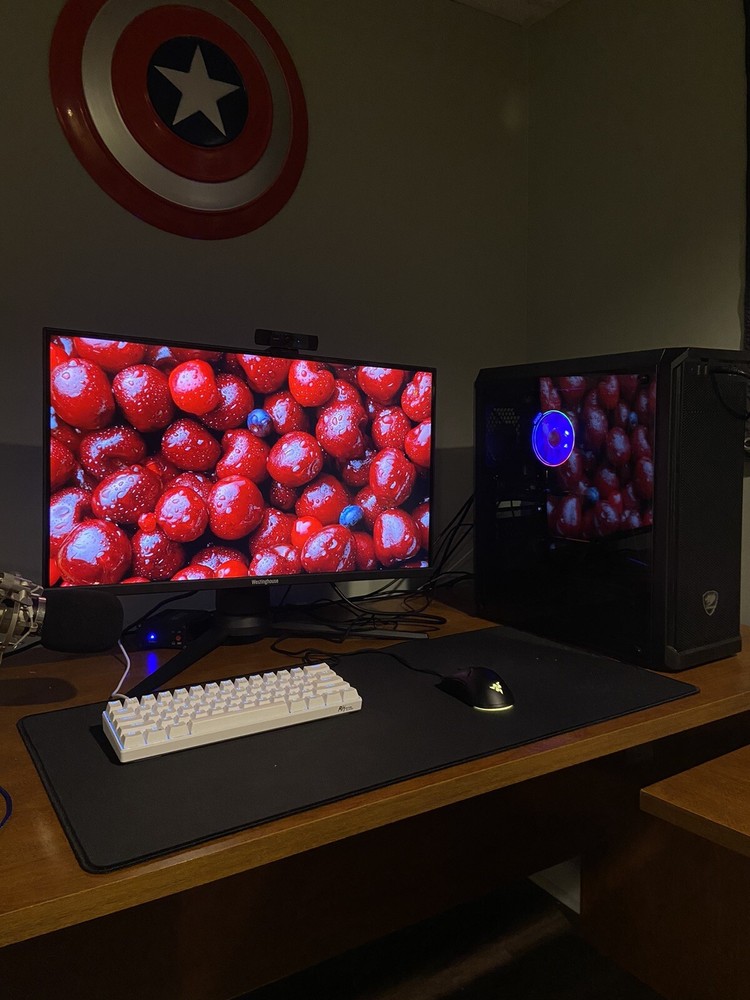 Gaming Setup (PC and Monitor)