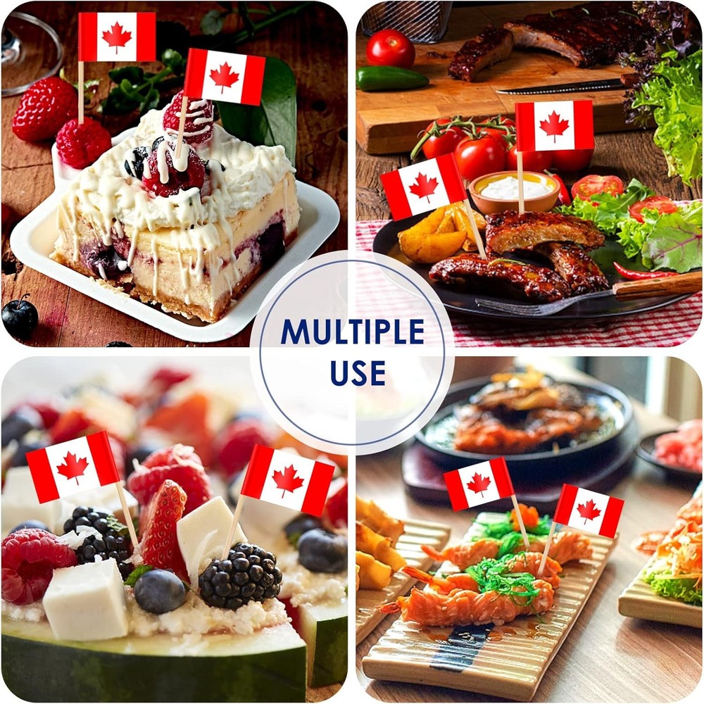 AhfuLife 200 Pcs Different Countries Toothpick Flag, Mini 200 Pcs, Mixed