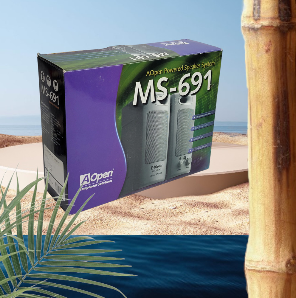 MS691 Powered Speaker System Hi-Fi Speaker