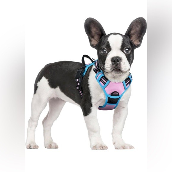 SIZE SMALL rabbitgoo® NEW Dog Harness No Pull with 2 Leash Clips, Adjustable
