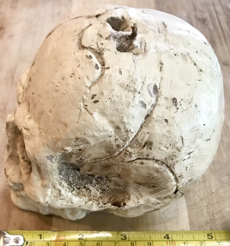 QUALITY NEW, NEVER USED, HEAVY MOLDED PLASTER SKULL CANDLE