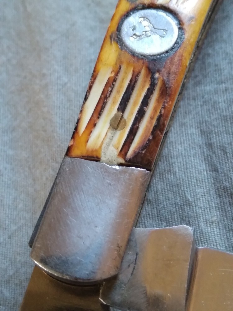 Vintage Pakistan Made Bone Handle Pocket Knife.