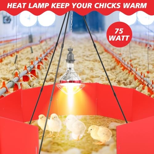 9 Pack Winter Chicken Brooder Box Starter with Heating Plate and 75w Heat