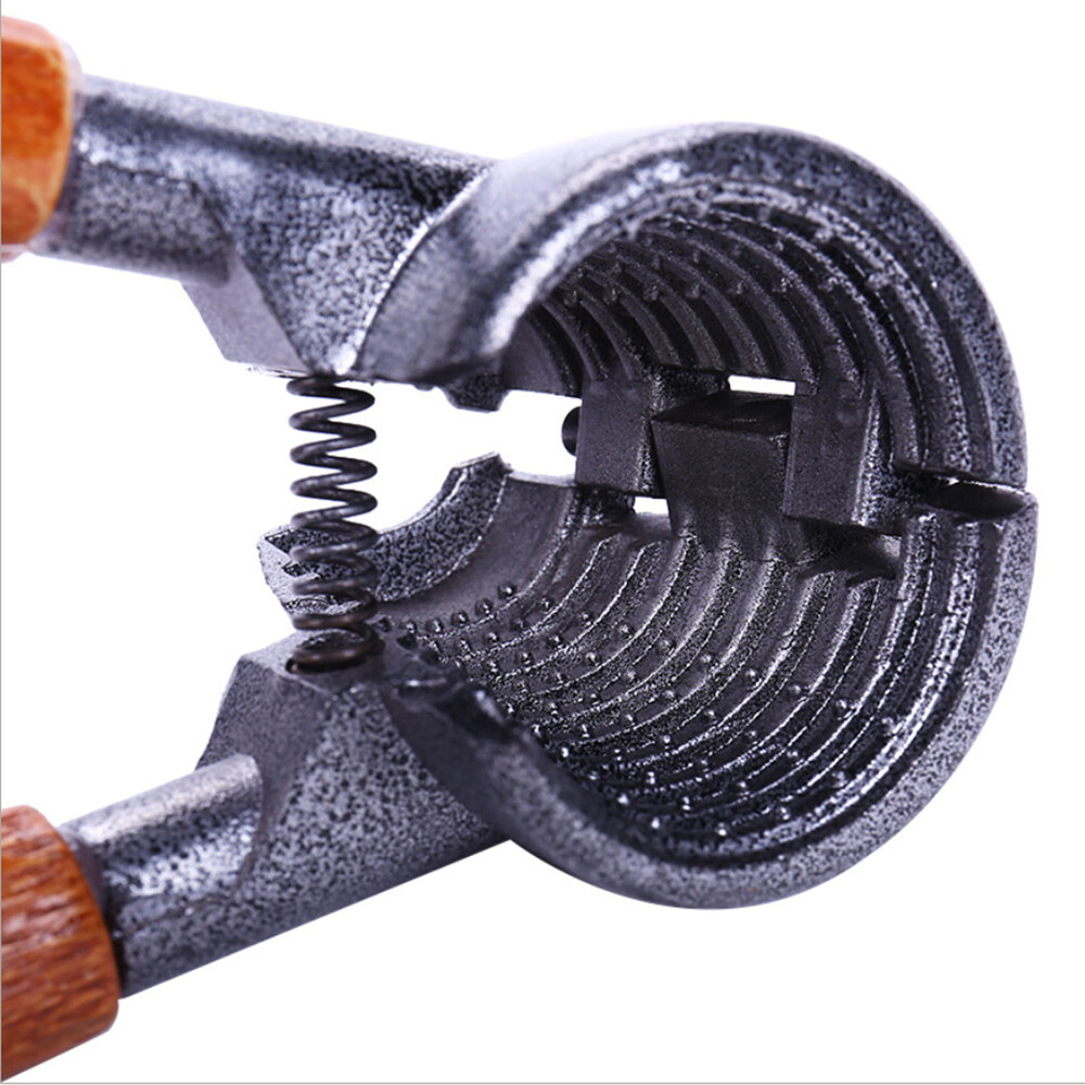 Multifunction 2in1 Walnut Opener Bottle Opener Pecan Nut Peeling Cracker Tool