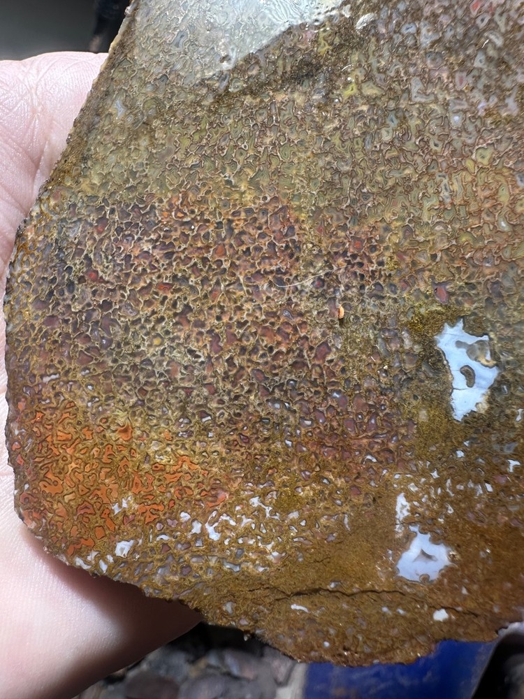 Dinosaur bone rough **hxtled slab.
