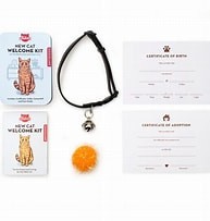Kikkerland New Cat Welcome Kit