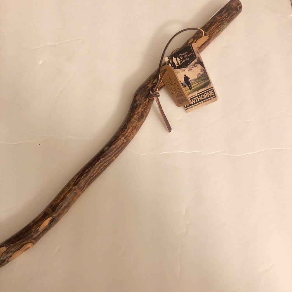Brazos Walking Sticks Walking Pole
