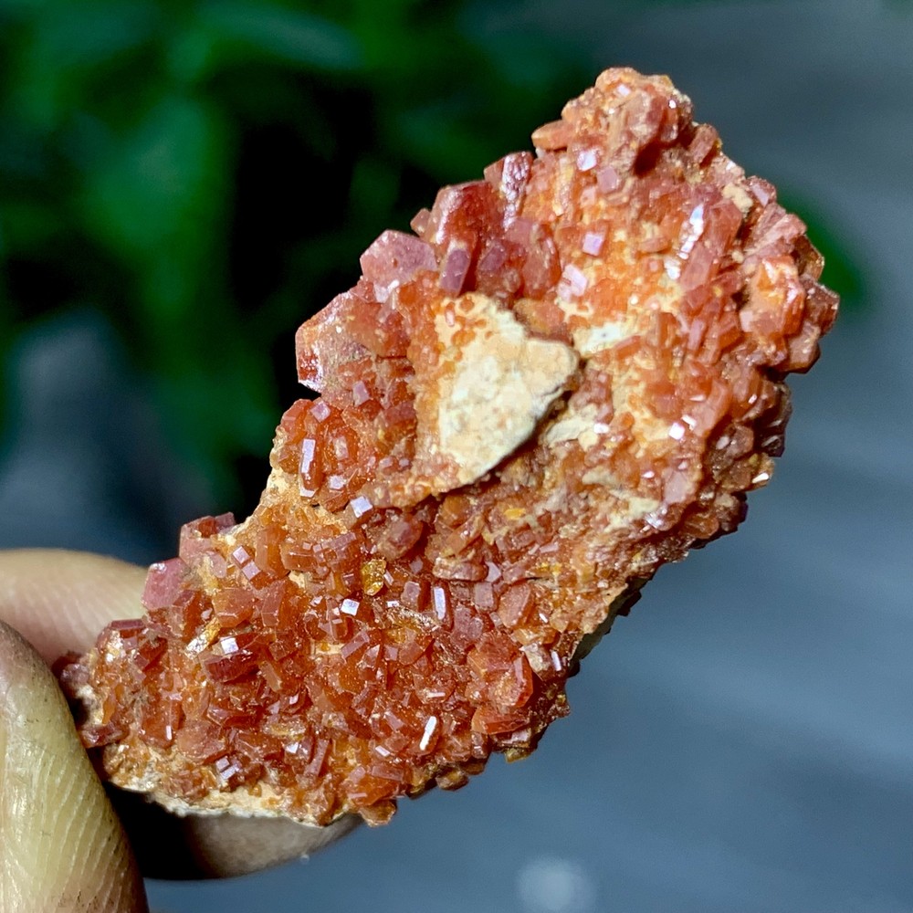 13GNatural Beautiful Vanadinite Atone Cluster Quartz Mineral SamplefromMorocco