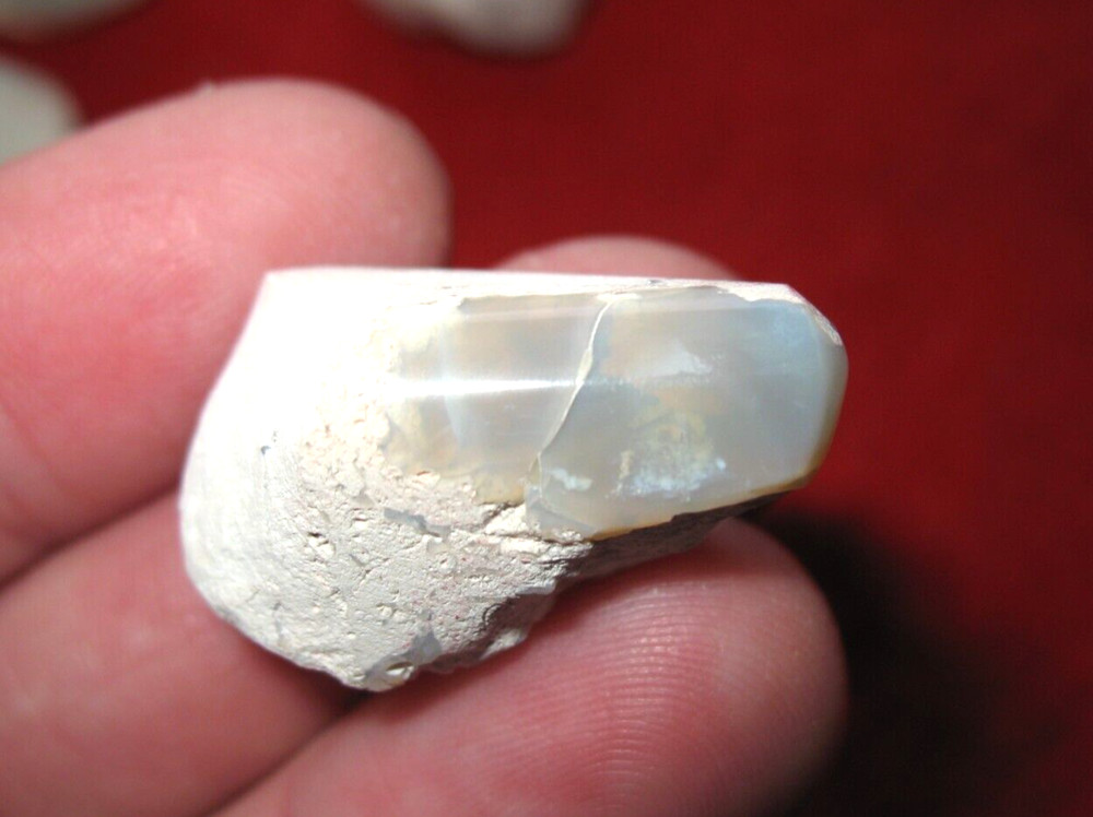 Australian Opal Lightning Ridge knobby opal semipolished stone hand specimen #8
