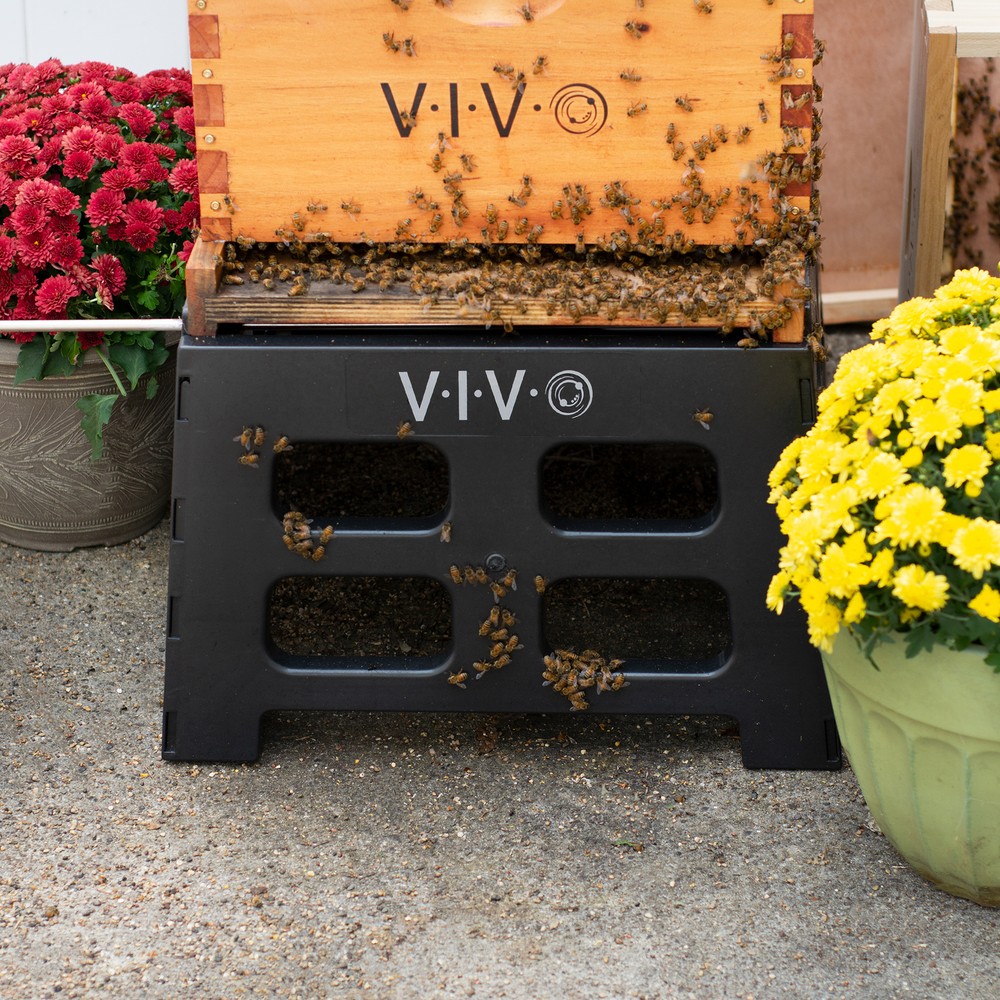 VIVO Black Plastic Bee Hive Stand | Beekeeping Hive Support Tool