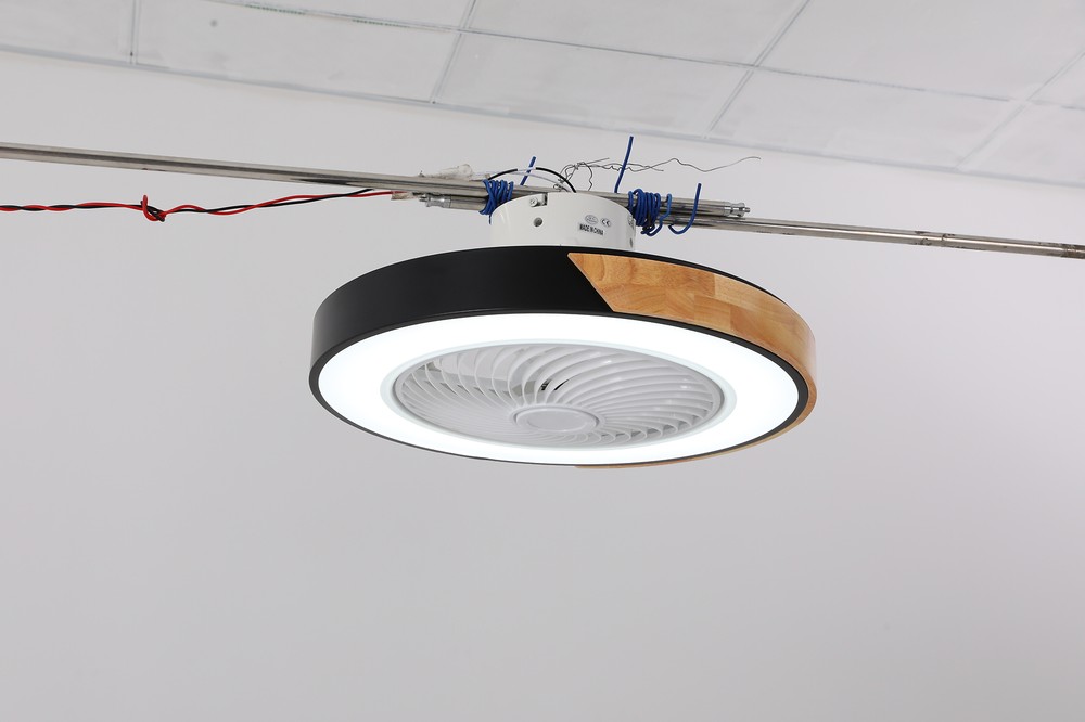 21.6 Inch Ceiling Fan Light with Remote Control Black Ceiling Fan with Light LED