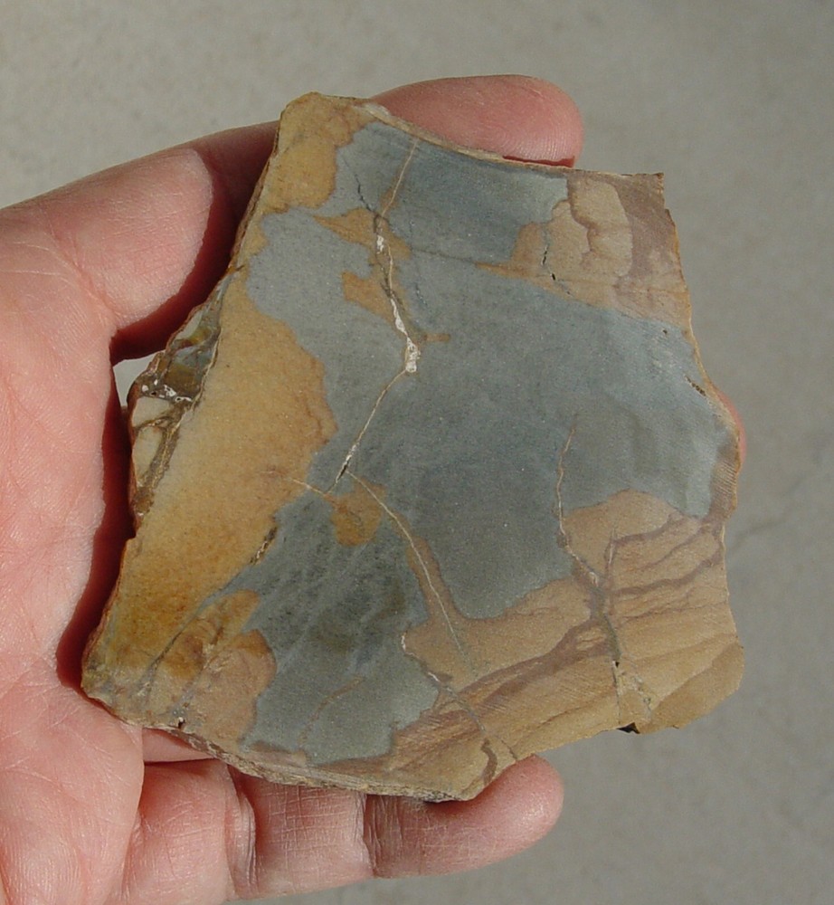 Owyhee Picture Jasper Lapidary Slab 1430