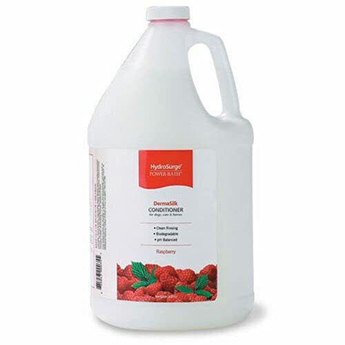 Hydrosurge Raspberry Dermasilk Cond Gallon