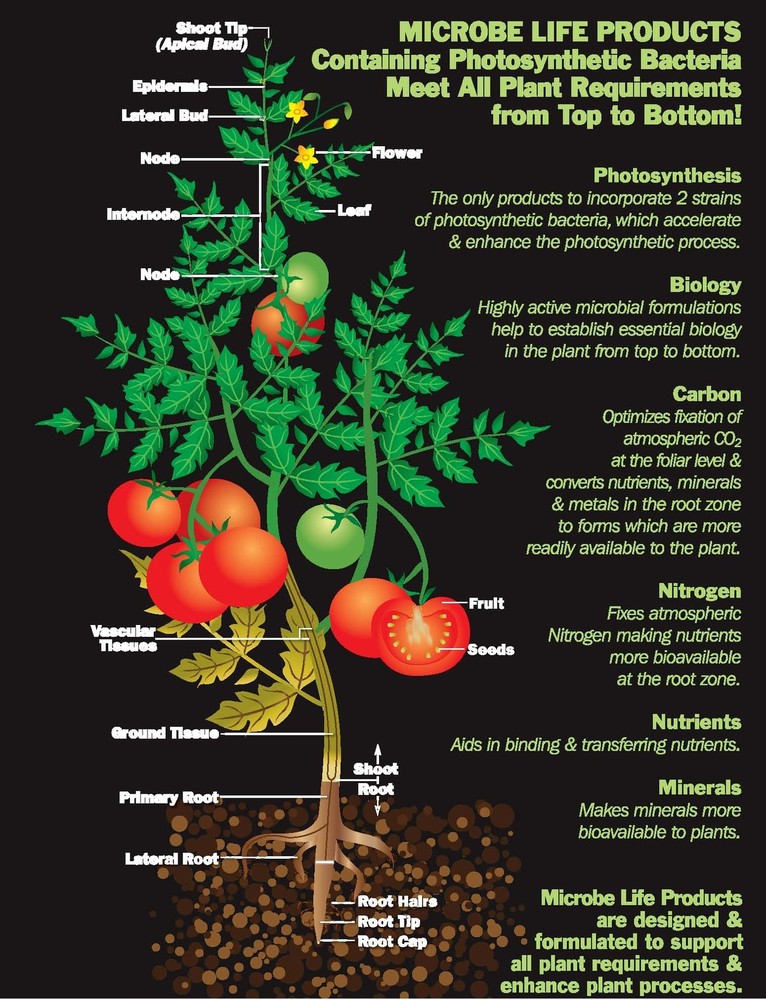 Microbe Life Hydroponics PH21227 Photosynthesis Plus Microbial Inoculant