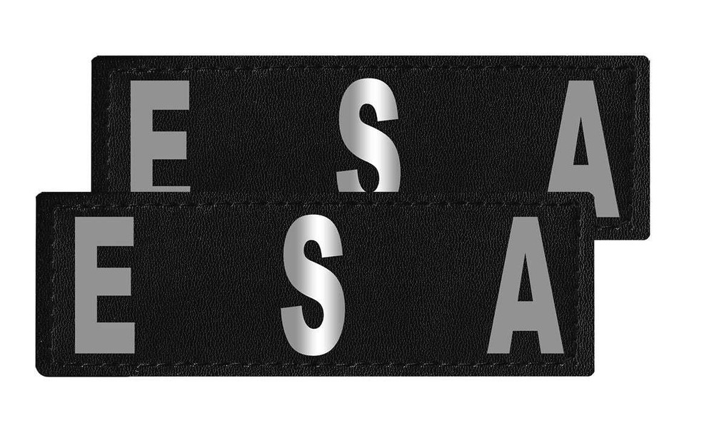 Removable Patches (2 Per Pack)- 1.5 x 4" ESA
