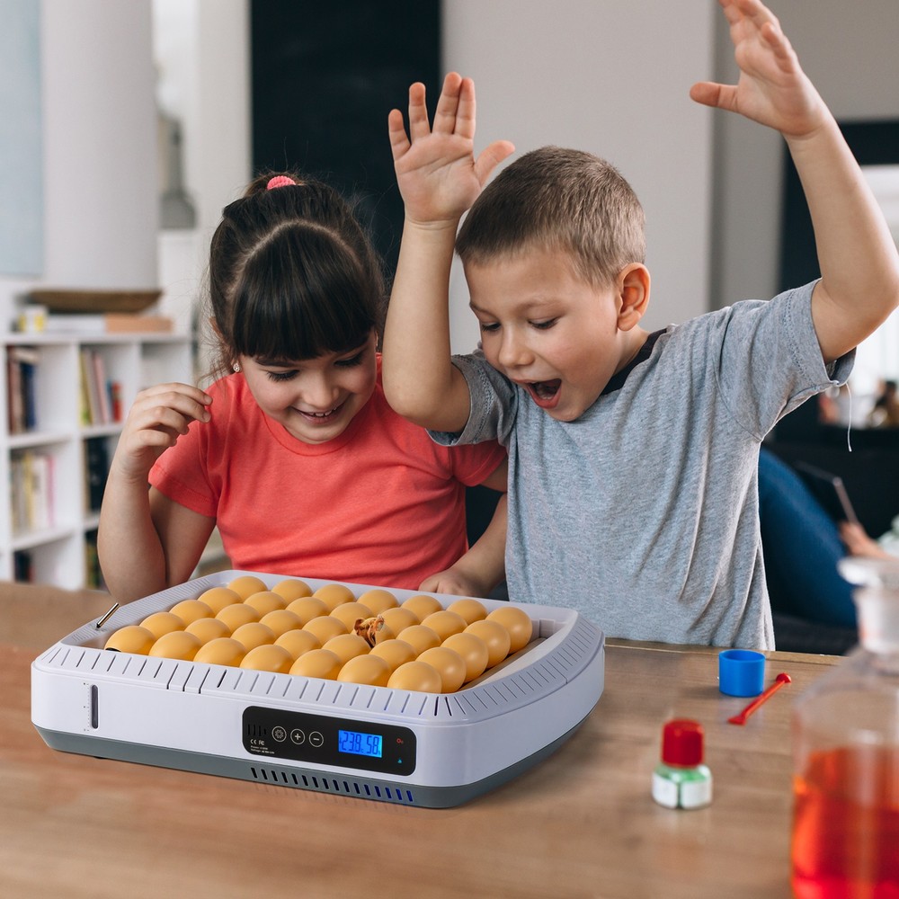 Smart Digital 35 Eggs Incubator Auto Turning Birds Hatcher Visual Window New