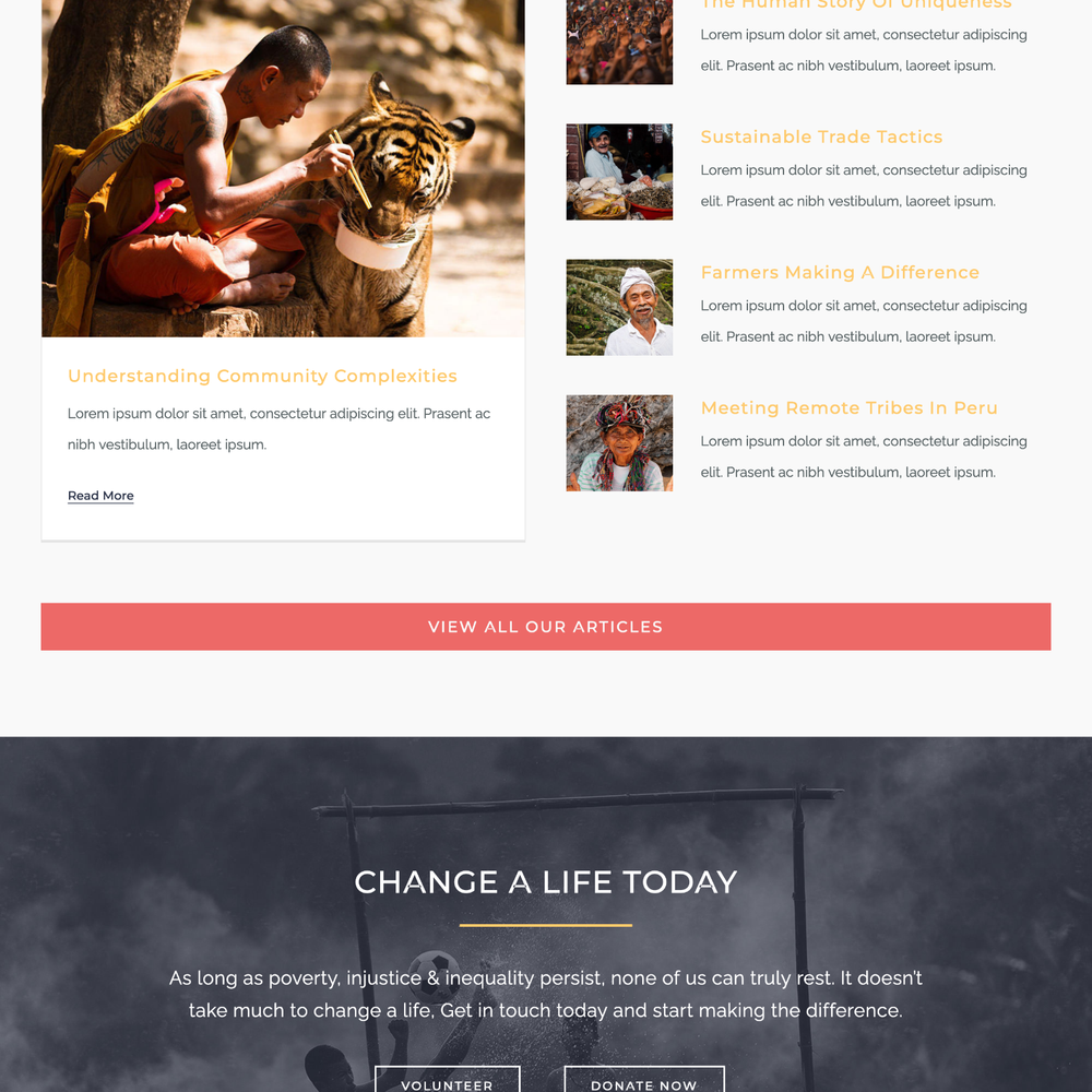 Welfare Website Design with Free VPS Web Hosting and Installation