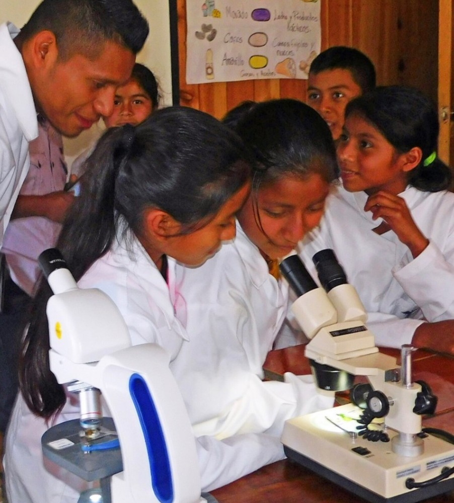 Sheffield Dessert Pie Server Stainless w Green Ceramic Handle England