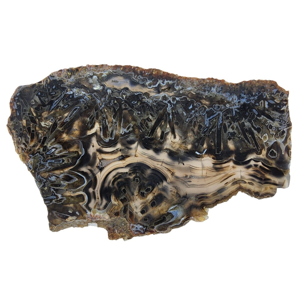 Turkish Stick Agate, slab, cabbing rough, lapidary, #R-6898
