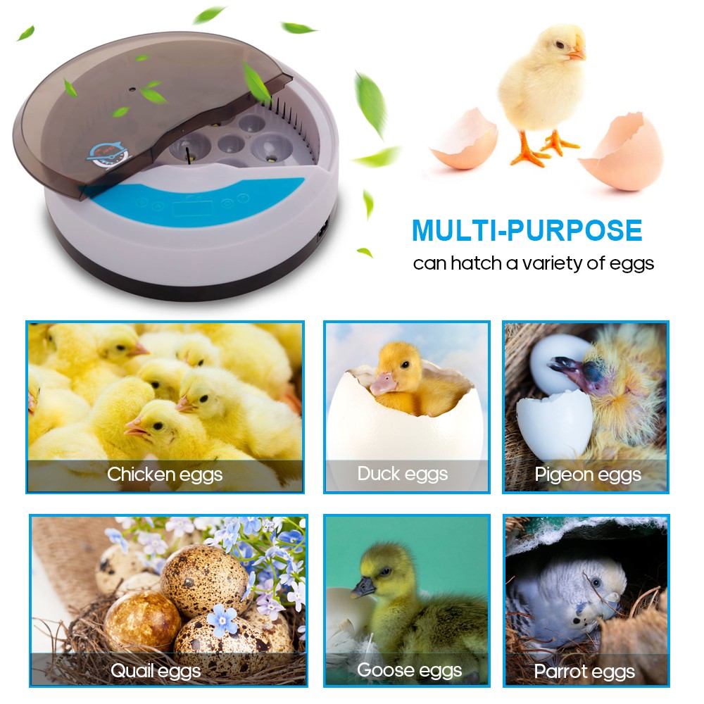 Automatic Poultry Hatcher Egg Incubator For Chickens 9 Eggs VOEJ