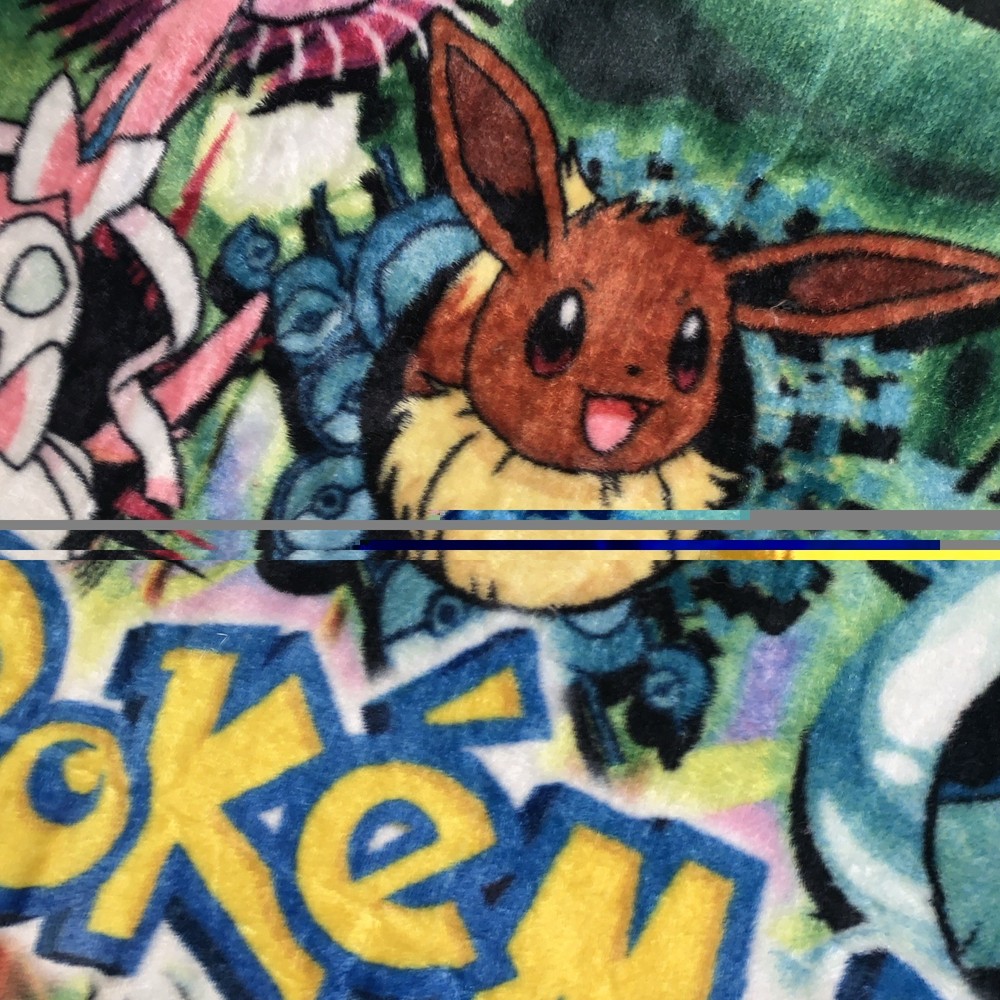 Eevee Eeveelution Blanket Pokemon 43”X 56”