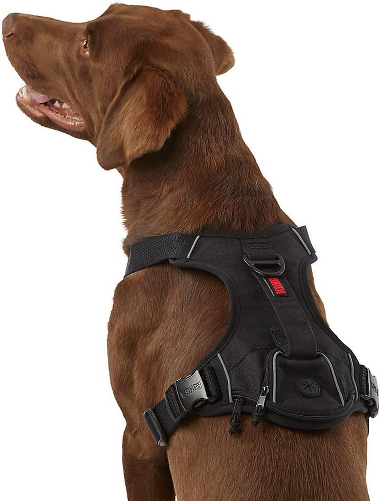 Durable Black Waste Bag Harness for Medium Pets - Easy Cleanup Solution