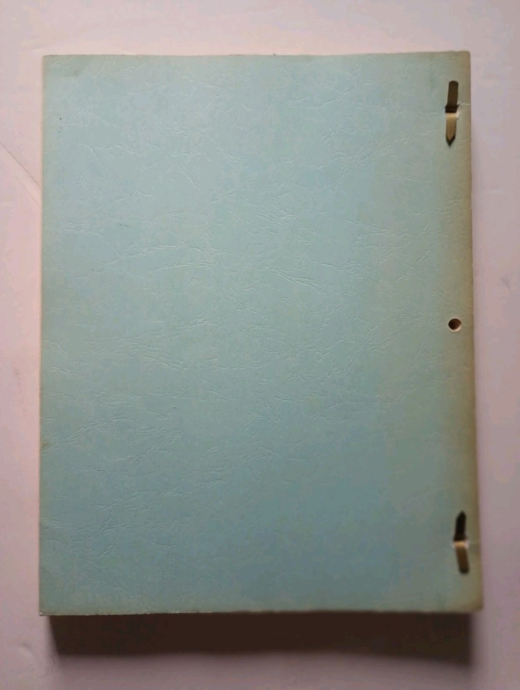 A Distant Thunder (1977) End Times Dystopian Movie Script Donald Thompson