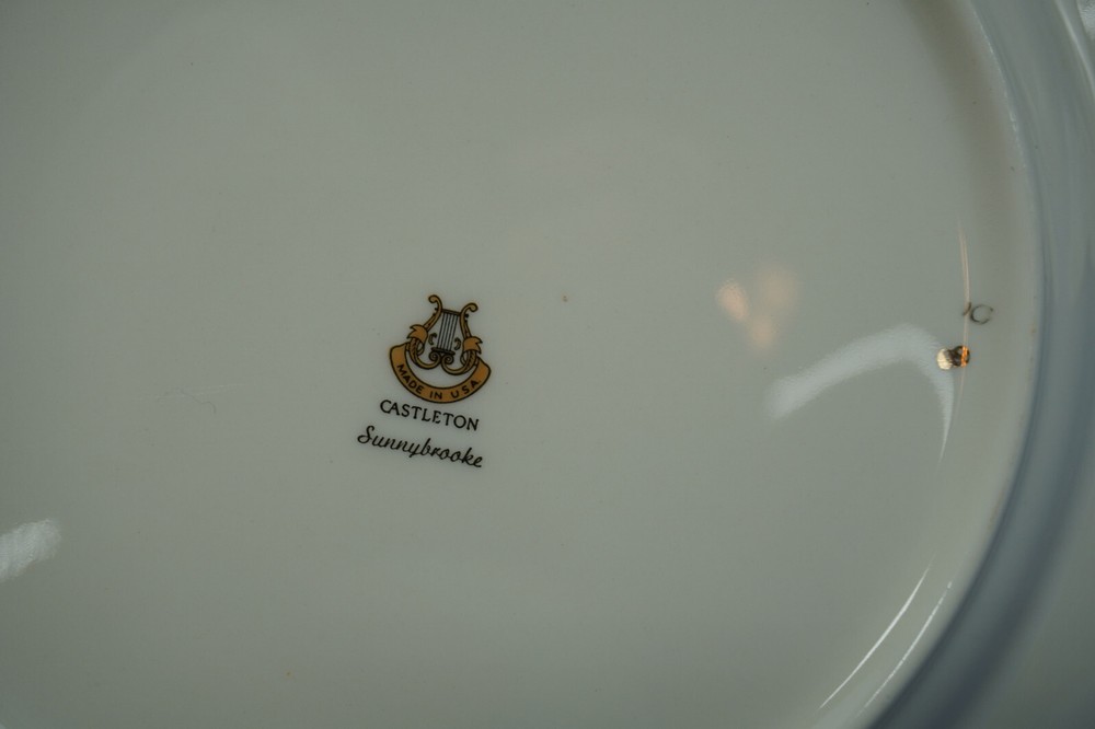 Castleton Sunnybrooke (4) Dinner Plates, 10 3/4" (B54)