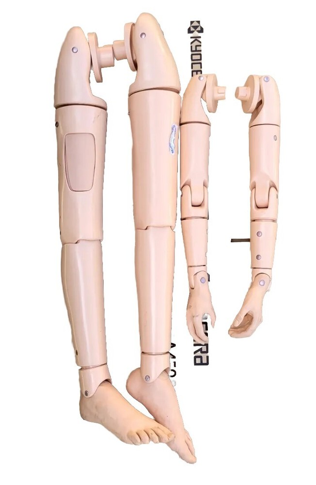 Life Form Geri  Simulator Medical Training 