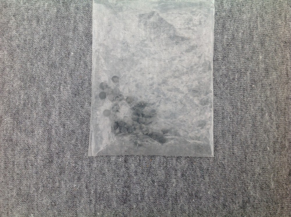 Daisy Model No. 118 Target Special BB Air Pistol