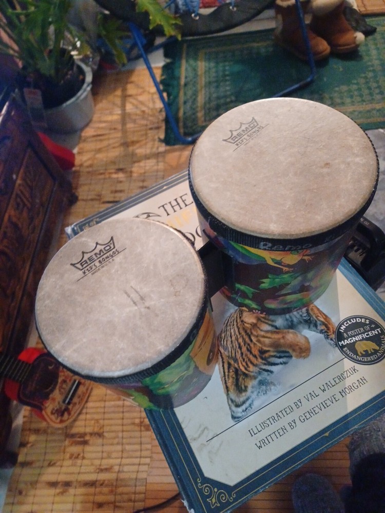 Remo Kid's Percussion Rain Forest Bongos