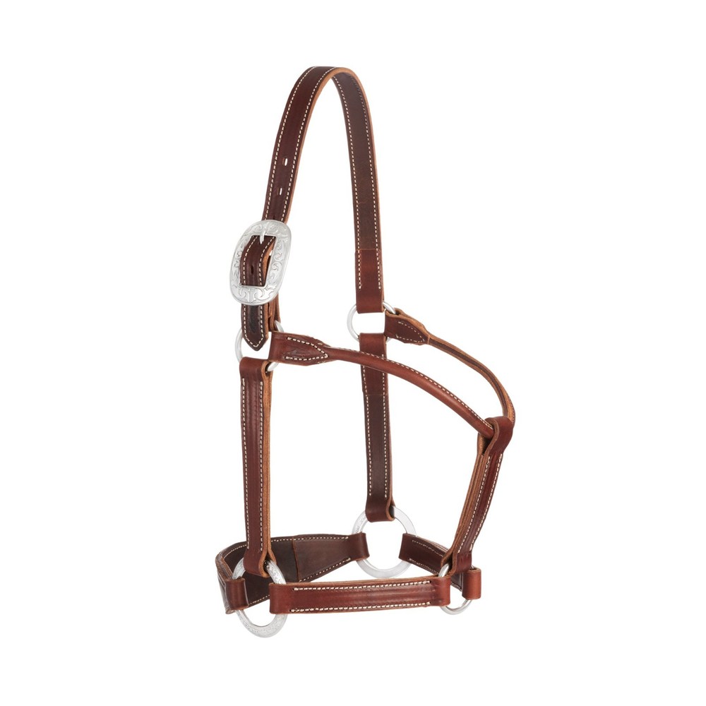 Stacy Westfall Bronc Halter, 1", Average Brown