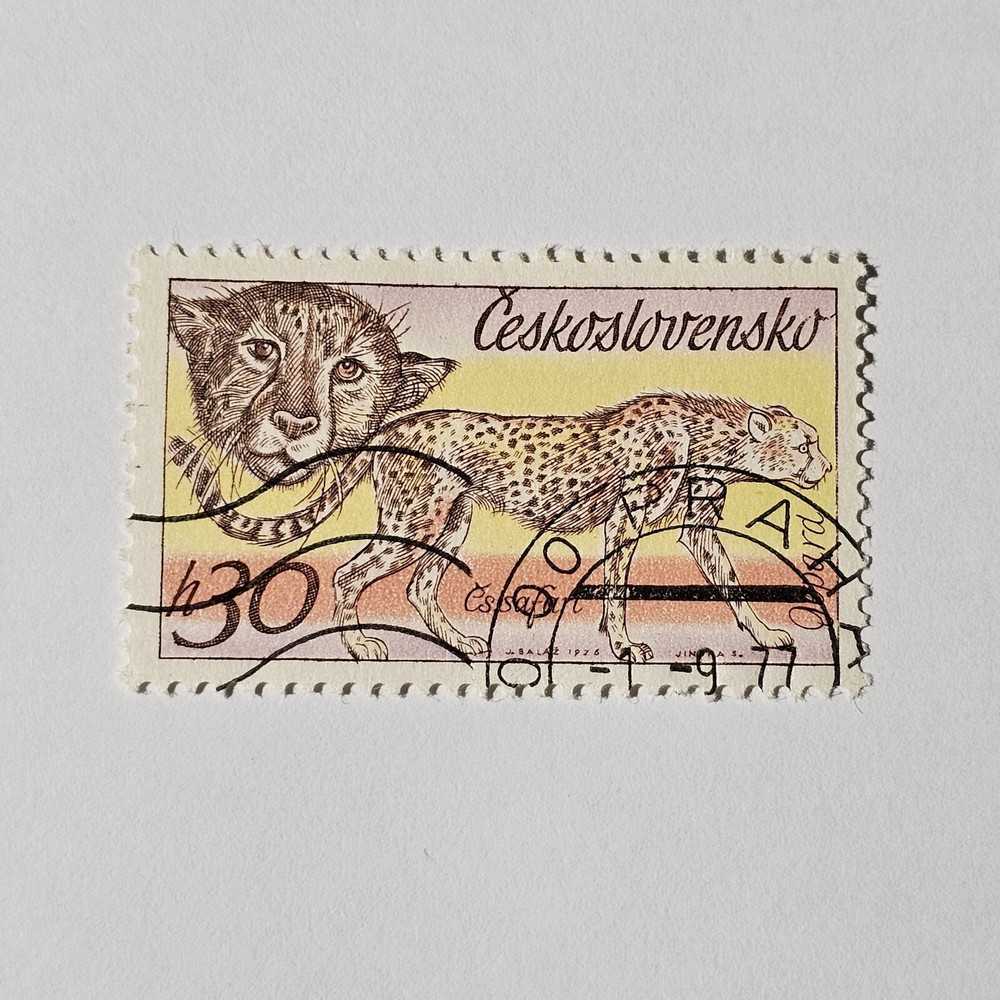 CHEETAH CHEETAHS STAMP*24 COLLECTIBLE