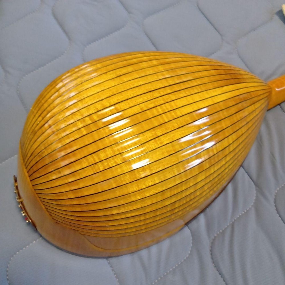 Mandolin 8 string orange with case