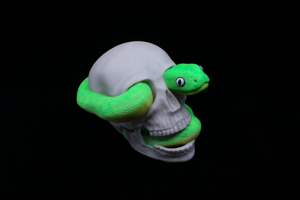 A 3D Printed Skull with Snake Crawling Through It (Hand Painted)